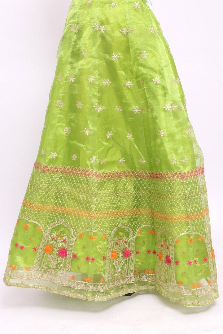 Lehnga 02 Fabric Tissue