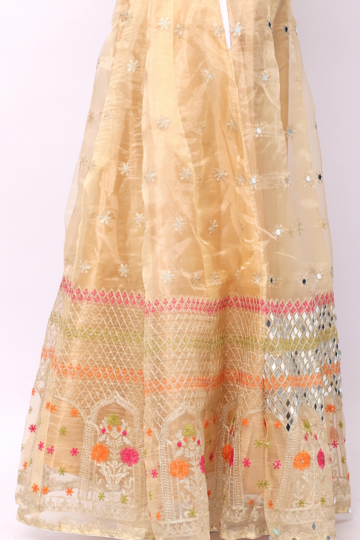 Lehnga 02 Fabric Tissue